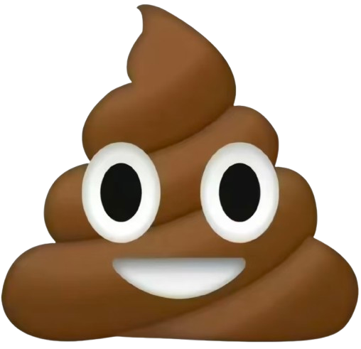 大便